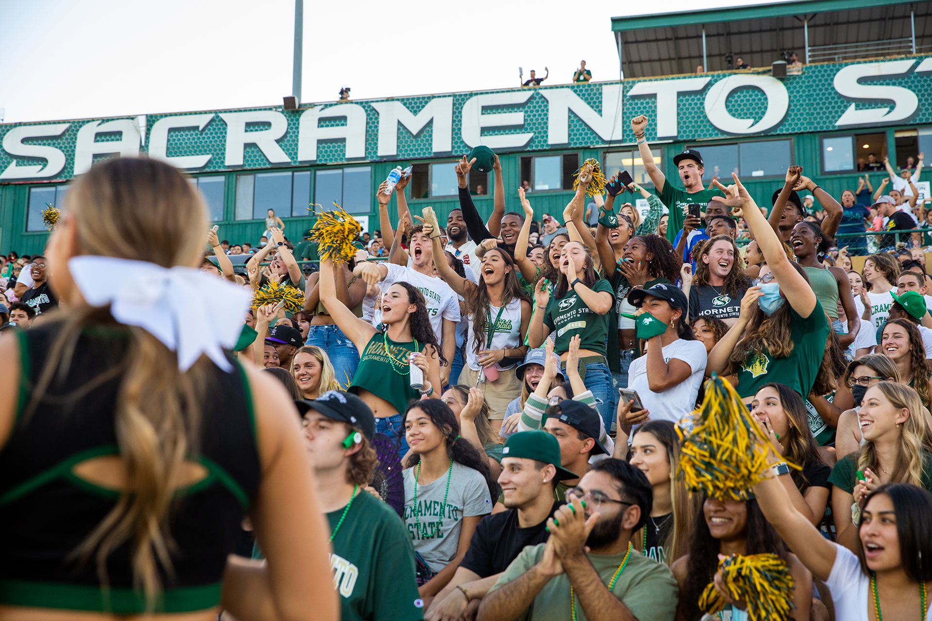 Students, staff, faculty, and members of the community cheer on the record-setting Sac State Hornets football team.