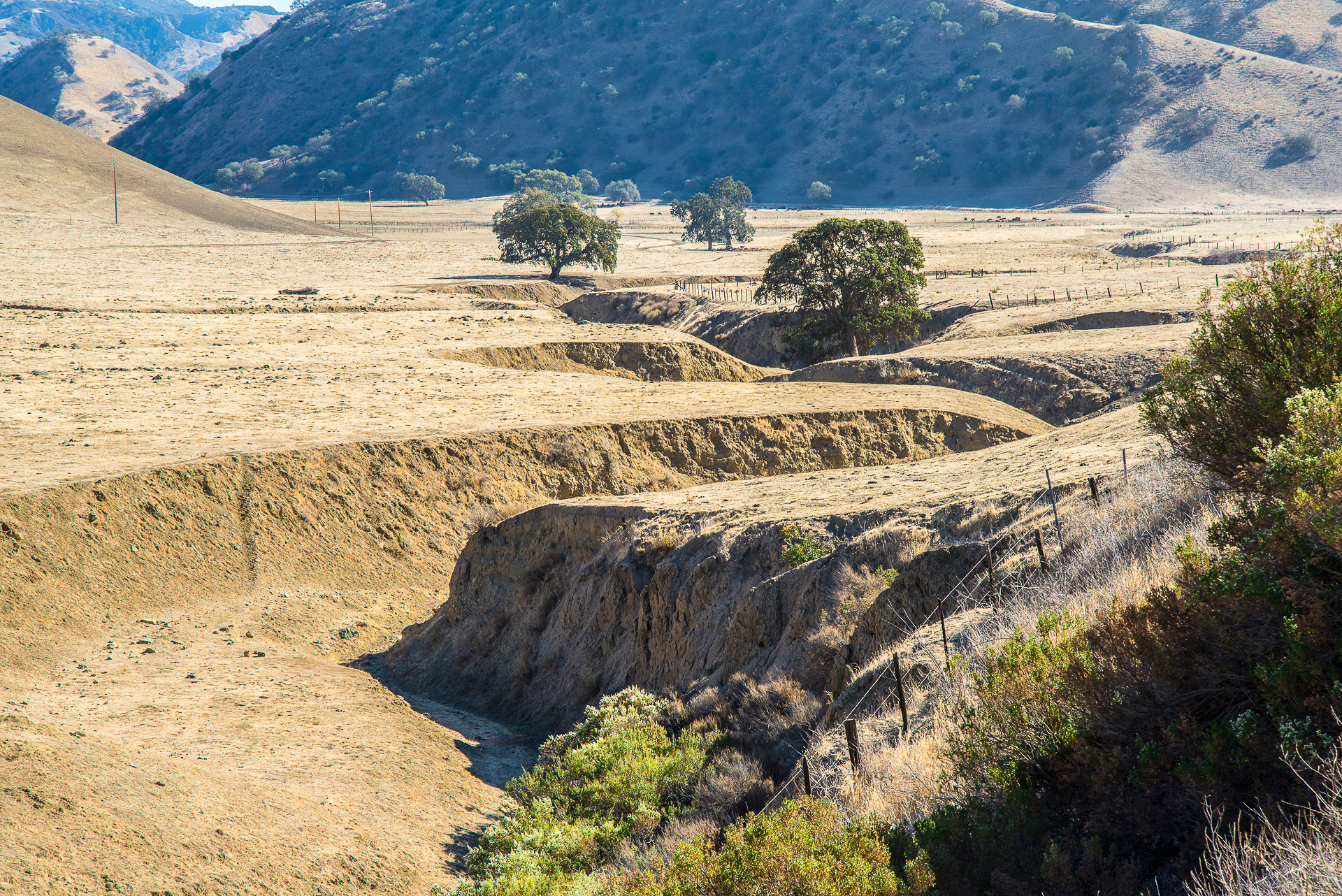 San Andreas fault