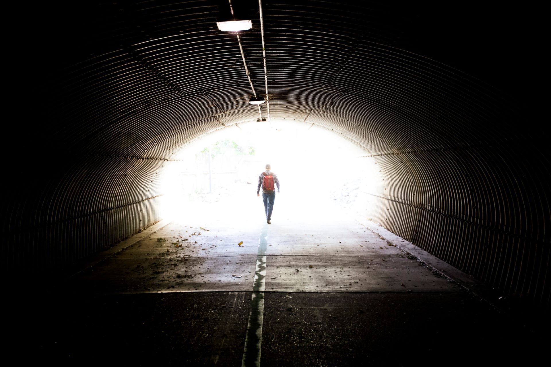 Hornet tunnel