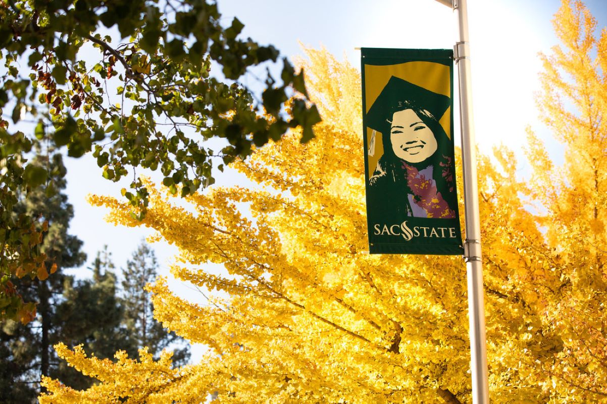 graduation banner