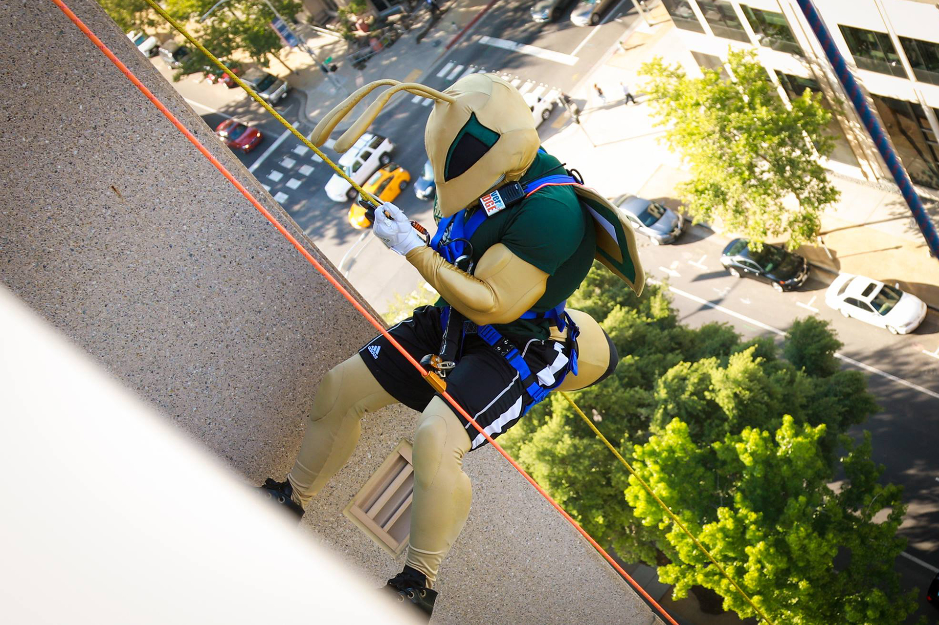 herky over the edge