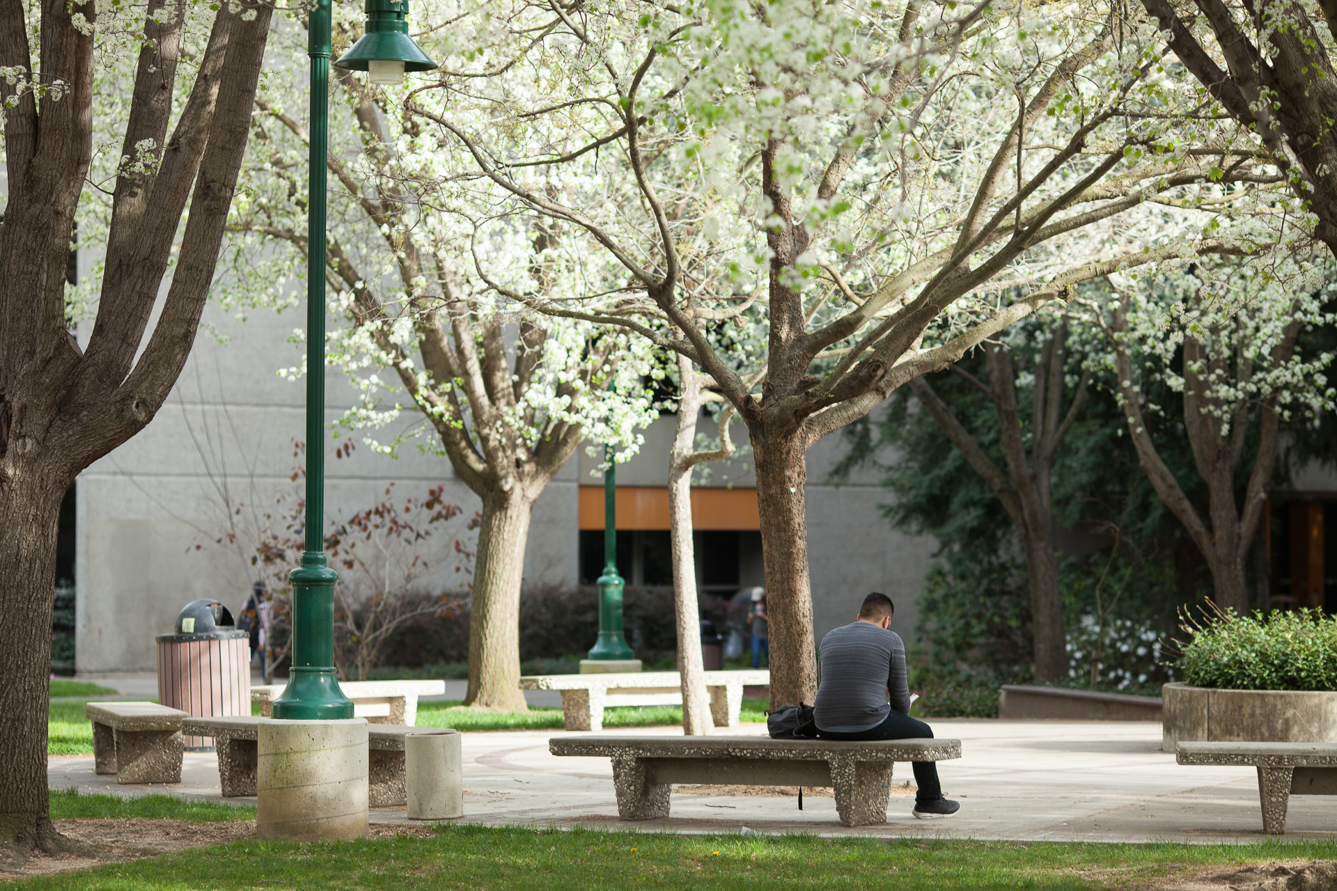 A man sits on a bench on the Sac State campus, surrounded by trees