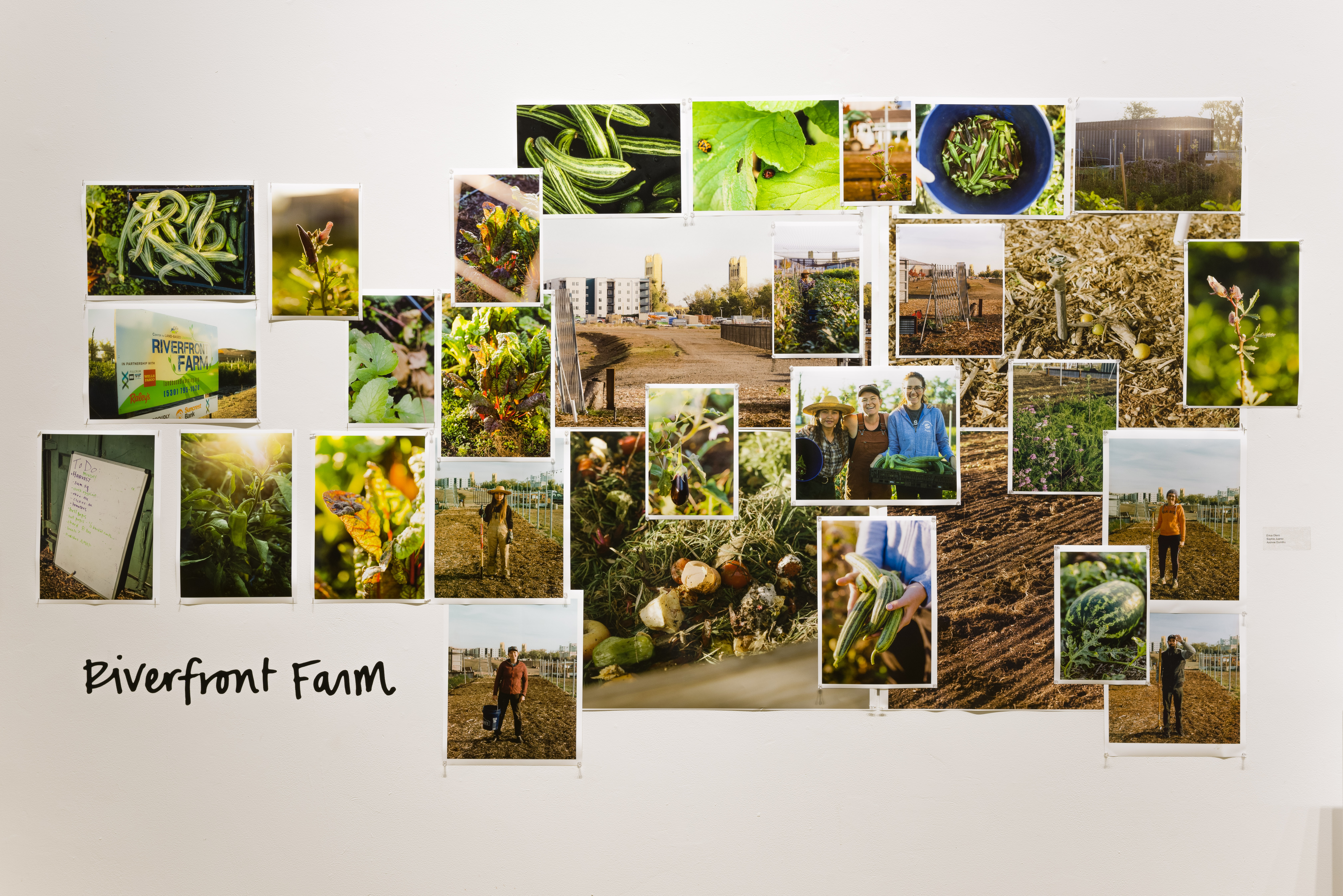 Photos of Riverfront Farm on display in a gallery at Verge Center for the Arts. 