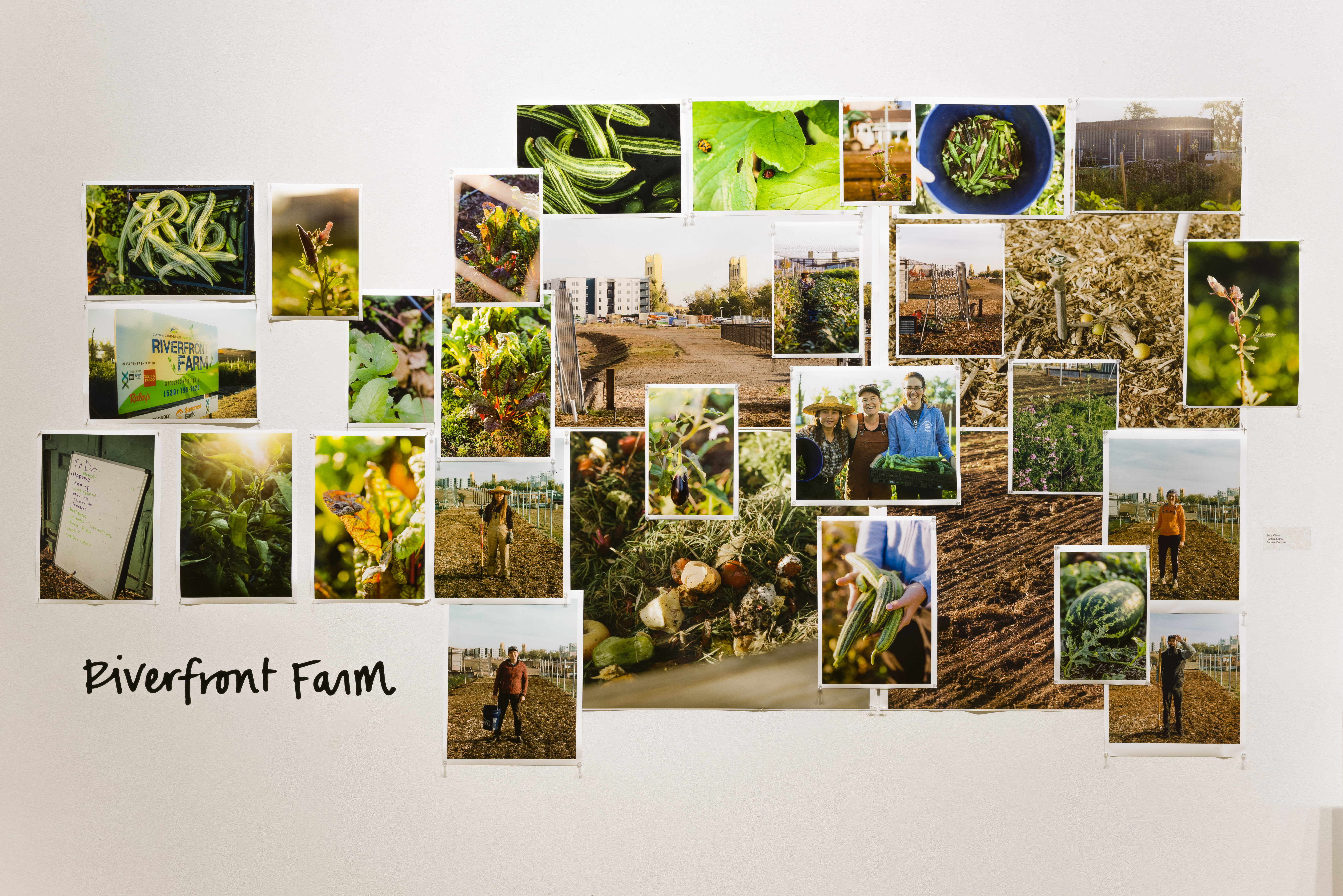 Photos of Riverfront Farm on display in a gallery at Verge Center for the Arts.