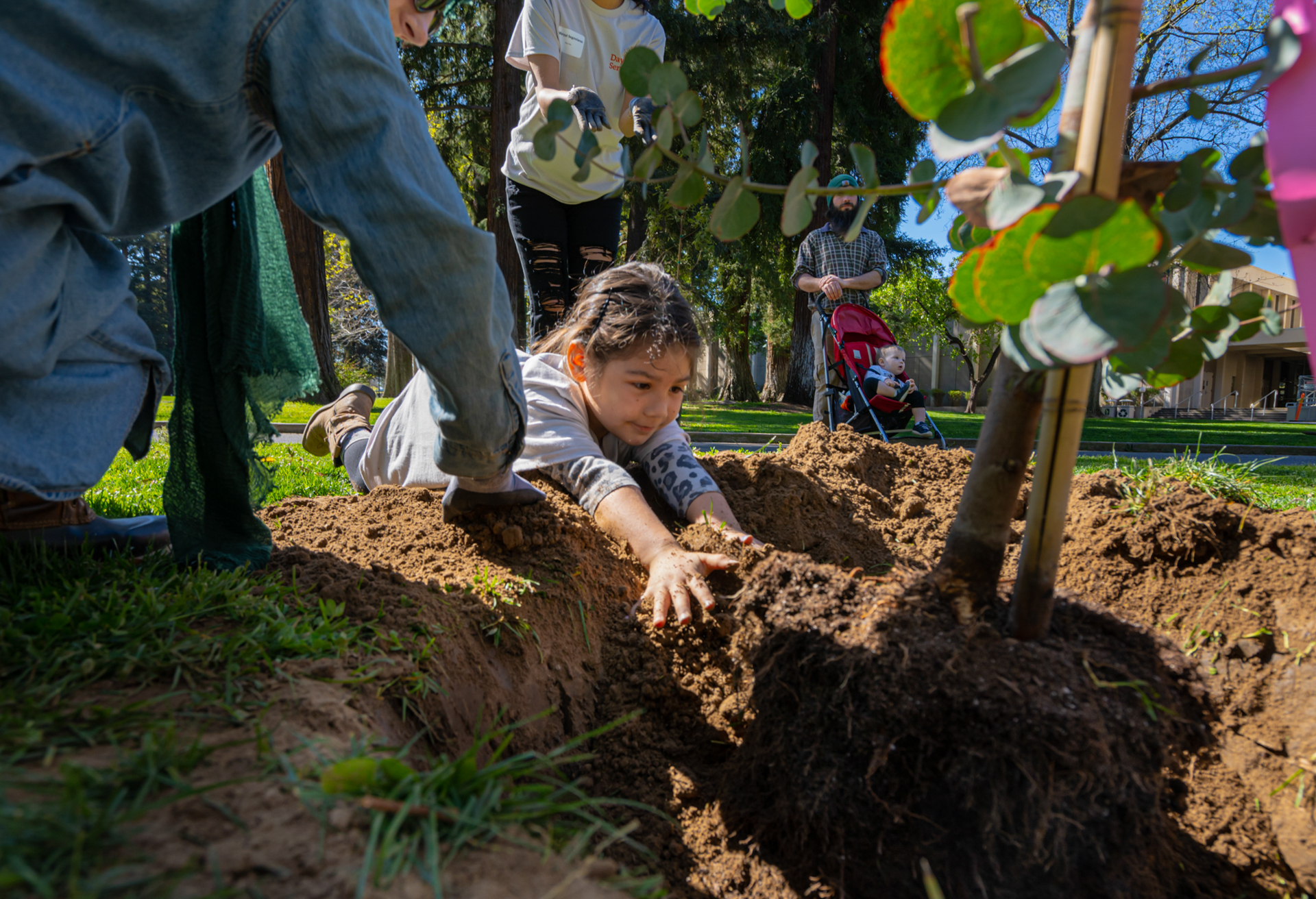 Day of Service tree planting child