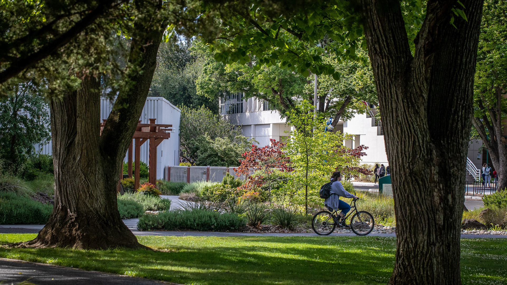 Sac State bicycle