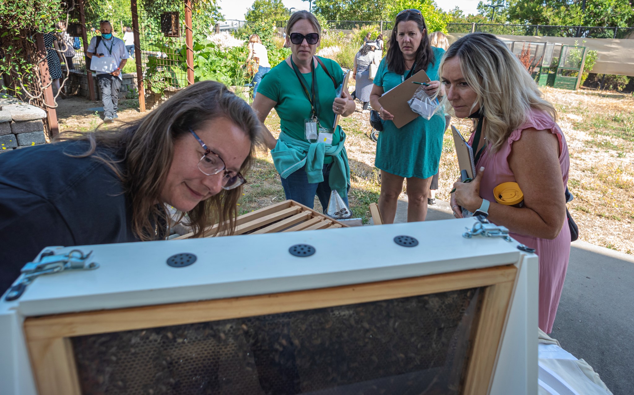 STEM teachers BAC Yard