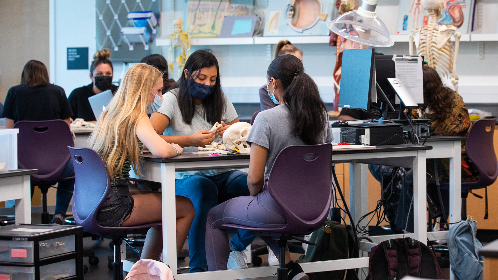 Three female students sit a lab table in a science classroom and examine models of human bones, including a skull. 