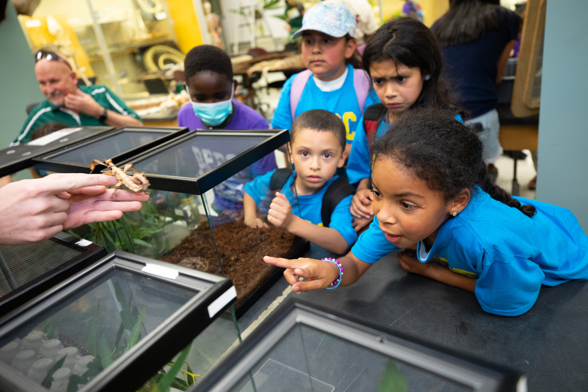 Roberts Family Development Center Freedom School children wearing blue and purple T-shirts observe a live insect and make shocked and disgusted faces.