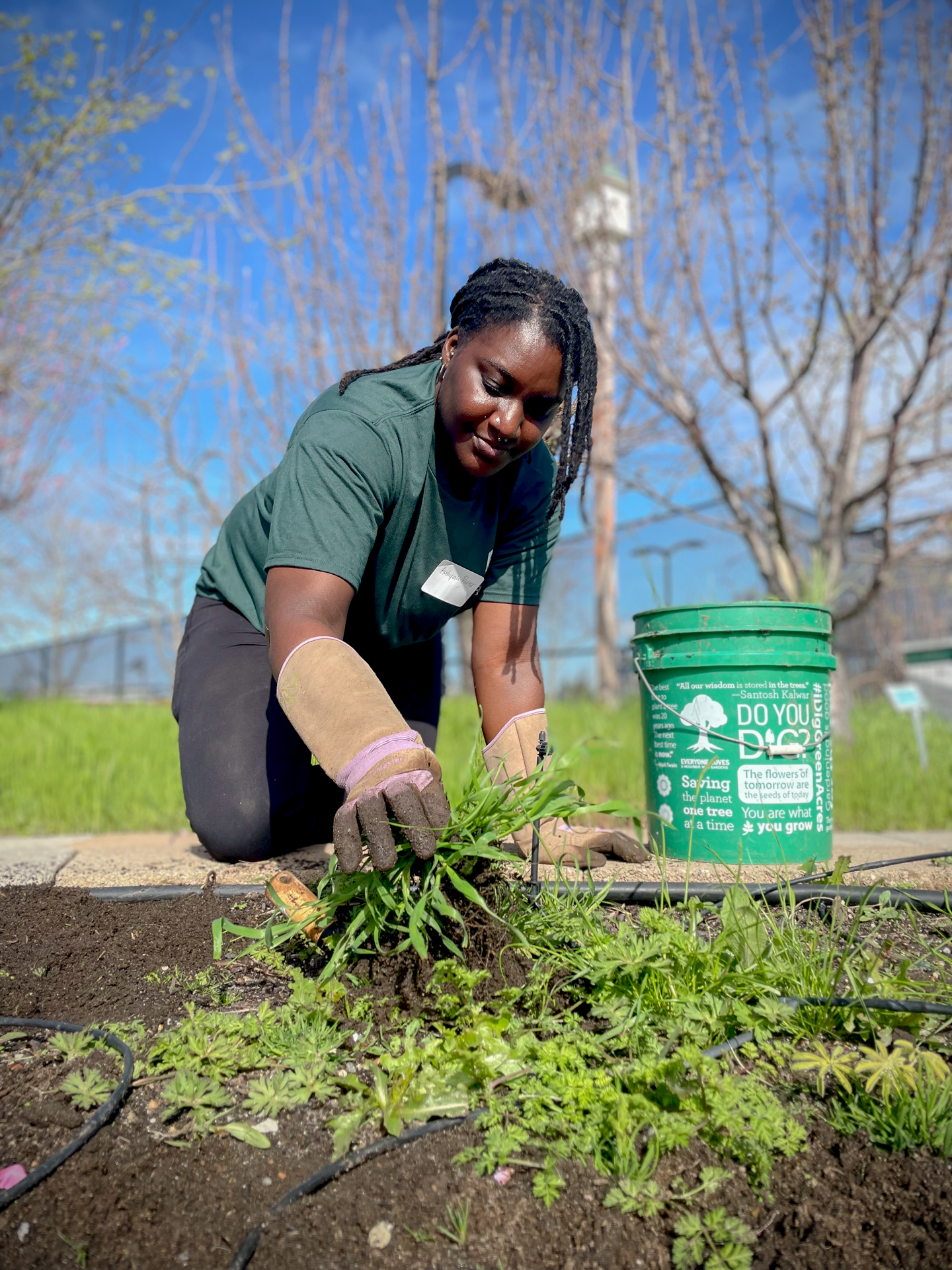 A woman, outdoors, wearing a green shirt and gardening gloves, working in a garden bed