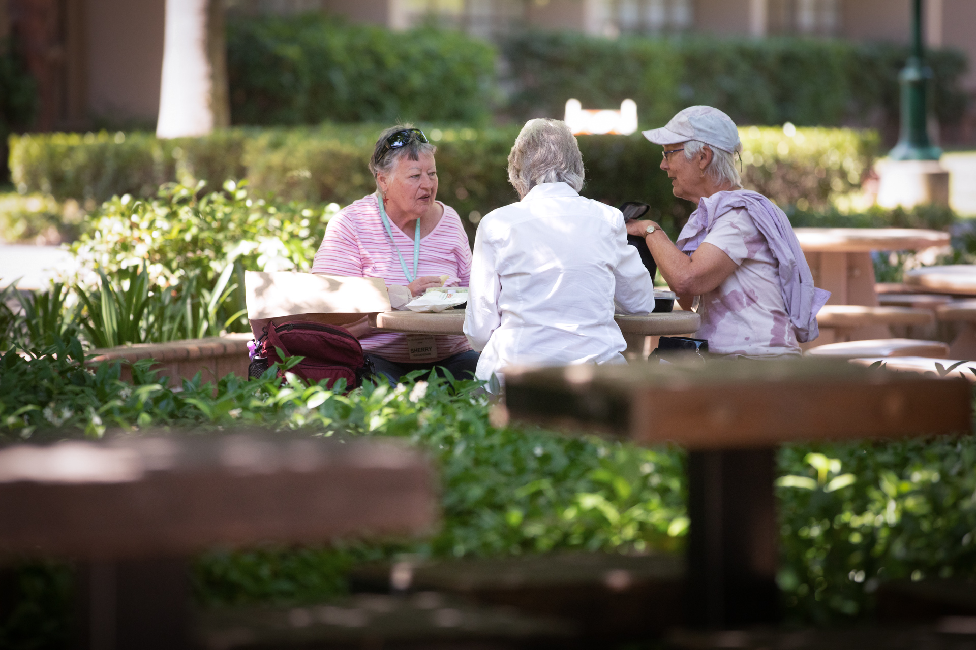 Members of the Renaissance Society have a conversation at an outdoor table at Sac State.
