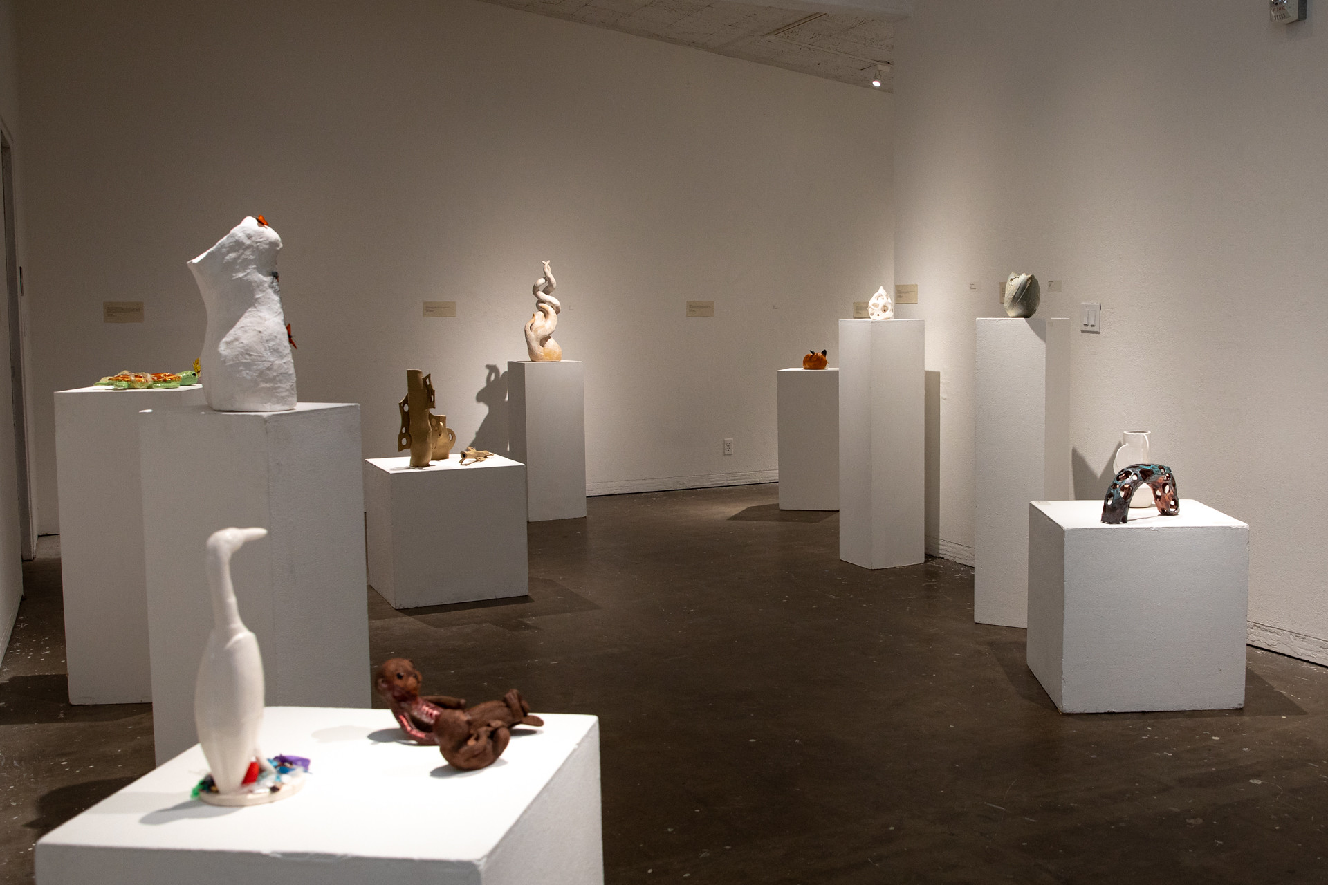 An art exhibition on display at the Robert Else gallery.