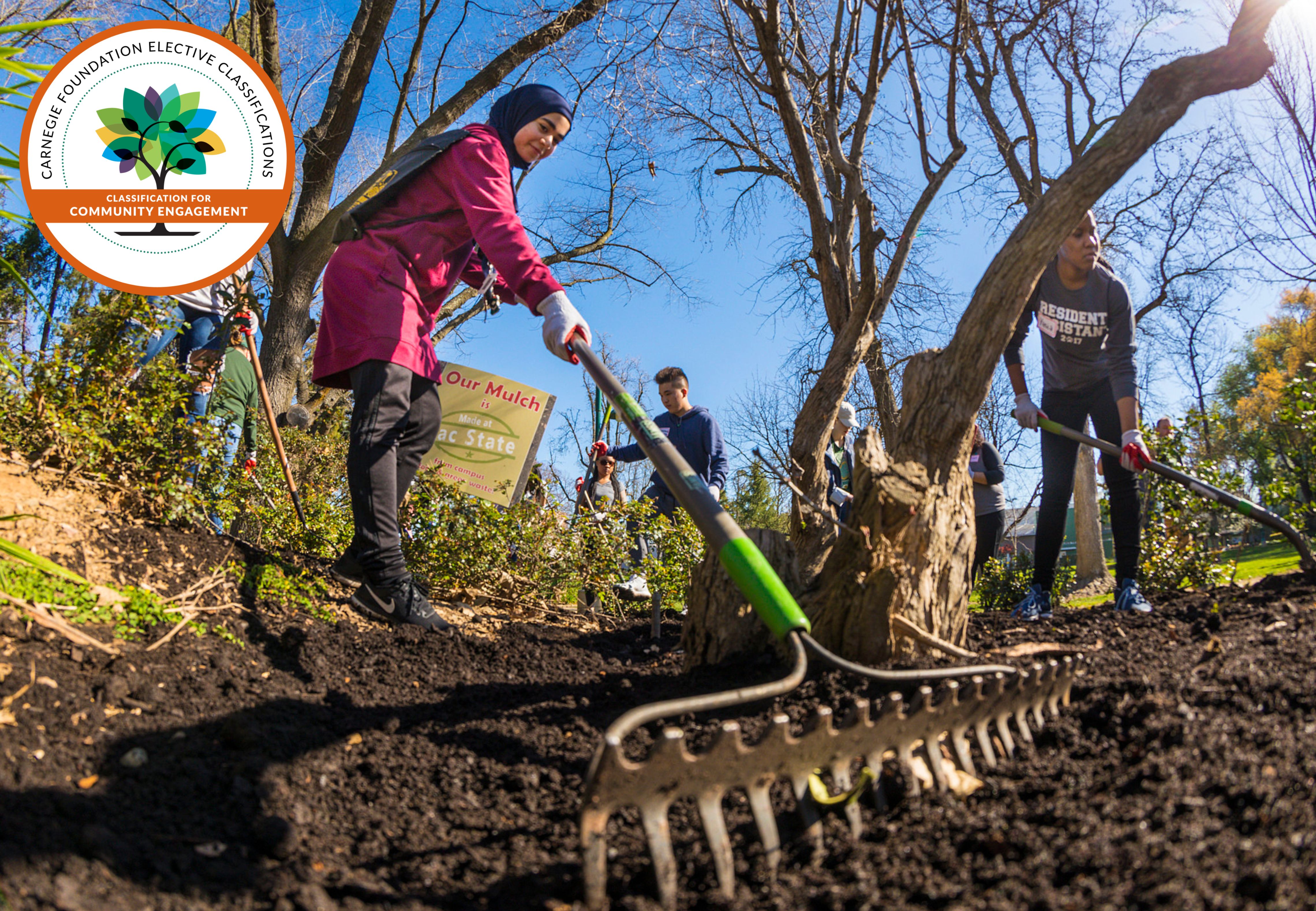 A student rakes in a garden as part of Alternative Spring Break.