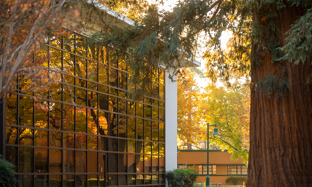 campus building with redwood tree