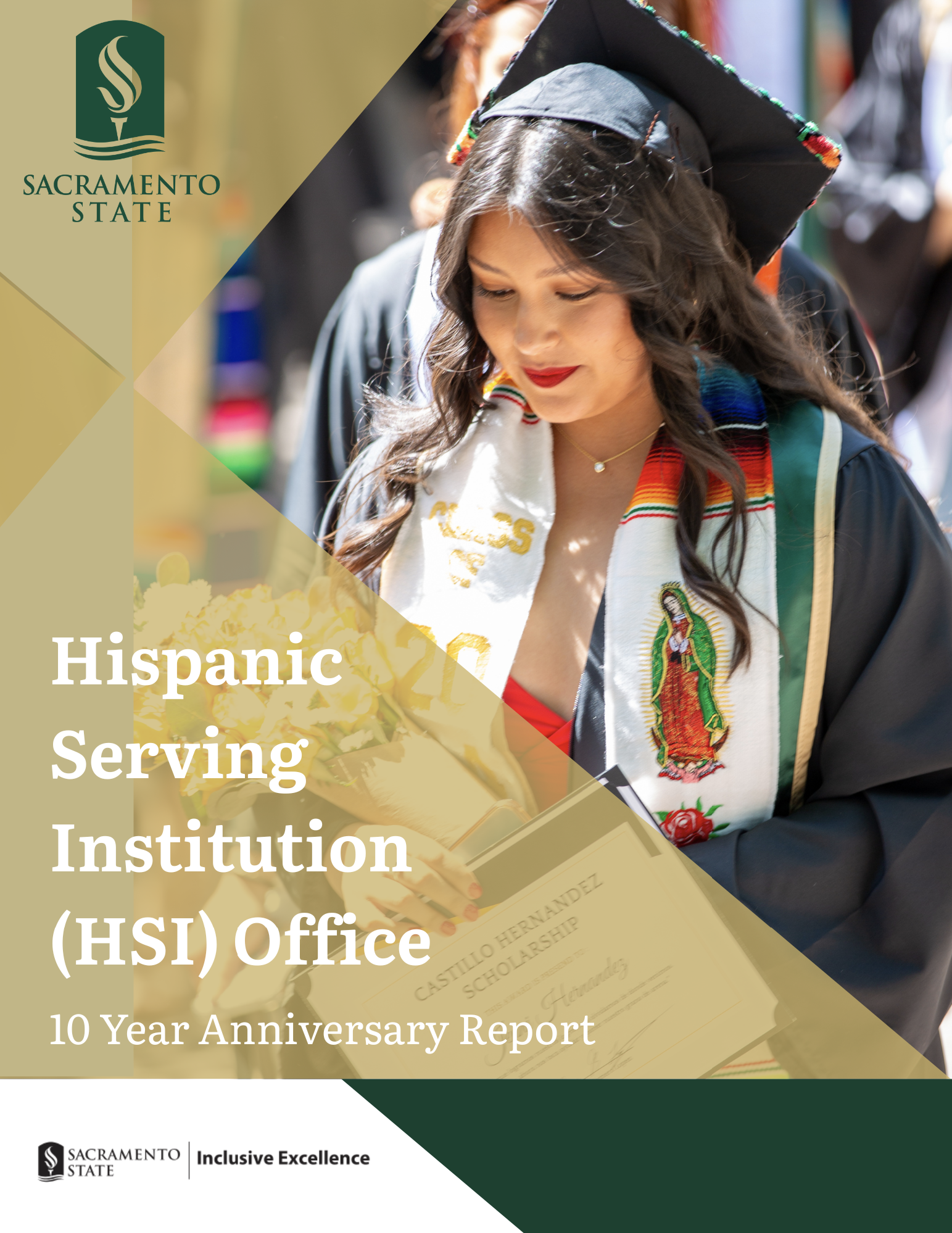 cover for the hsi ten year anniversary report