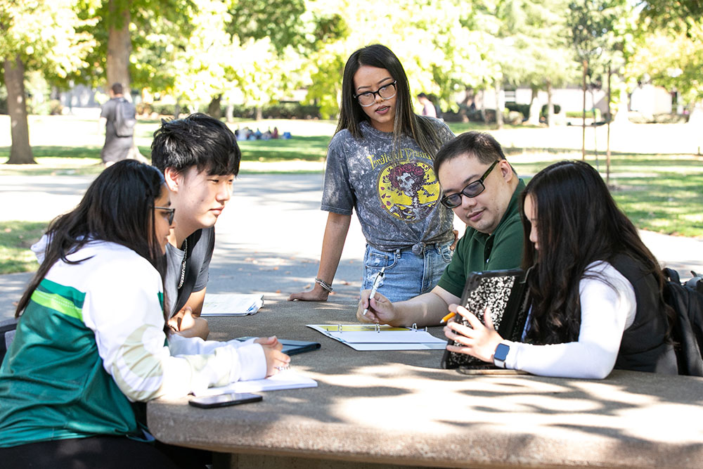 A group of students studying on campus