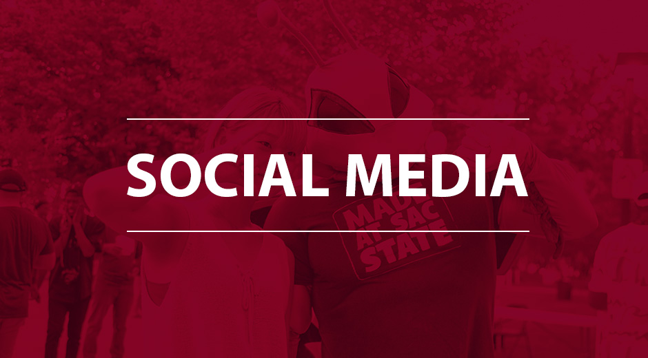 social media guides banner