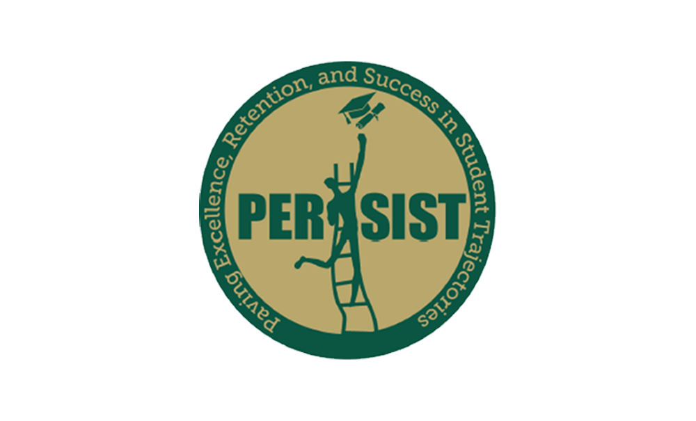 PERSIST Special Mark "Logo"