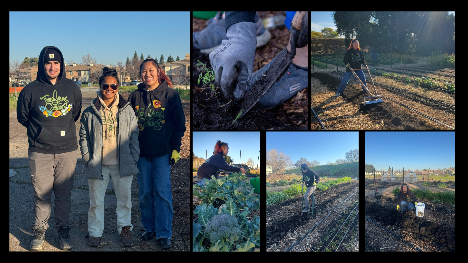 A group of images with students performing some agriculture related activities
