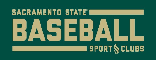 baseball section banner