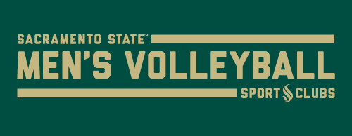 men's volleyball section banner