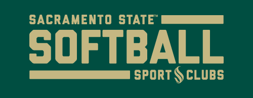 softball section banner