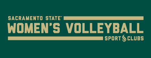 women's volleyball section banner