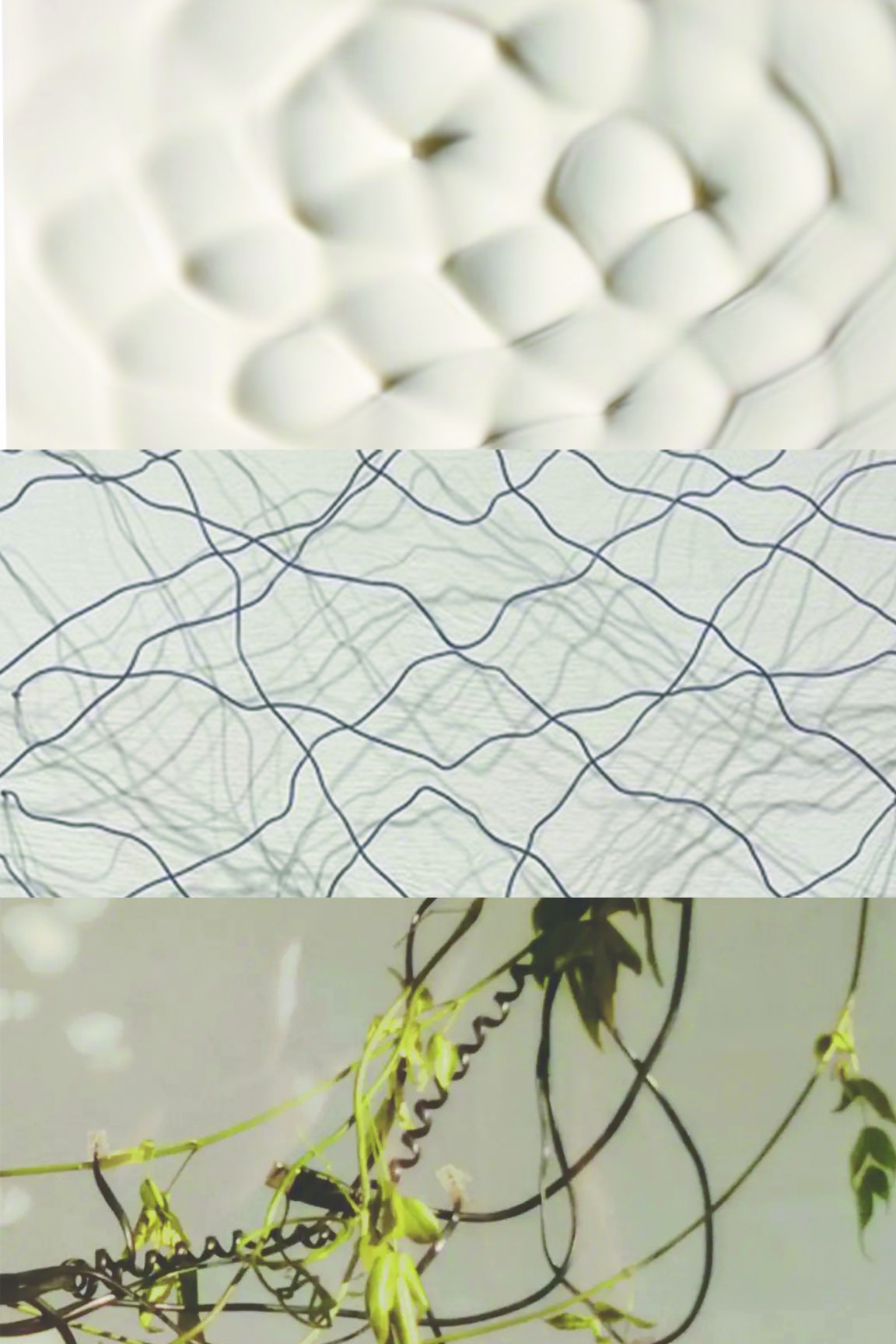 image for pulse exhibit