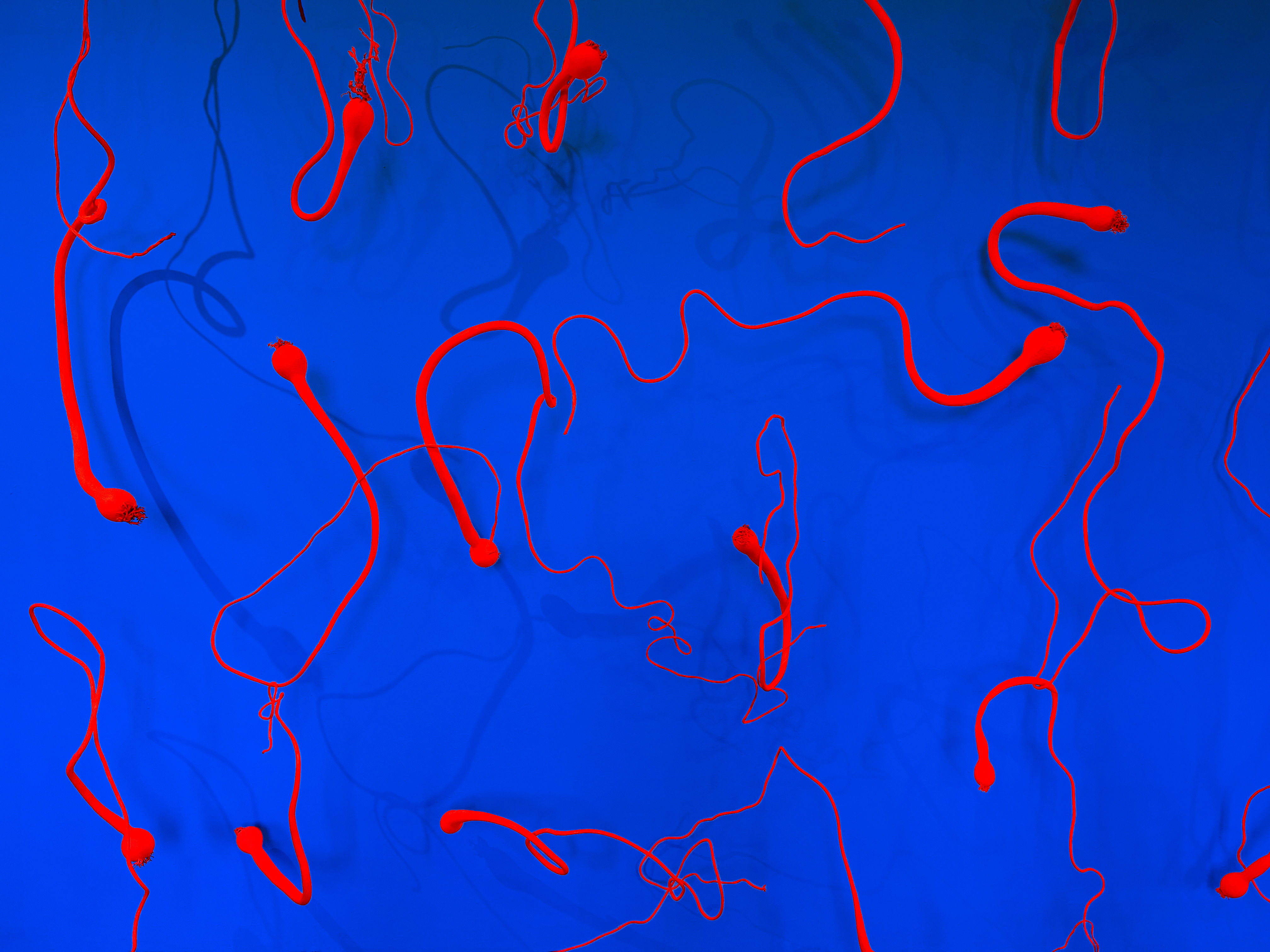 Installation image of art by tanja geis