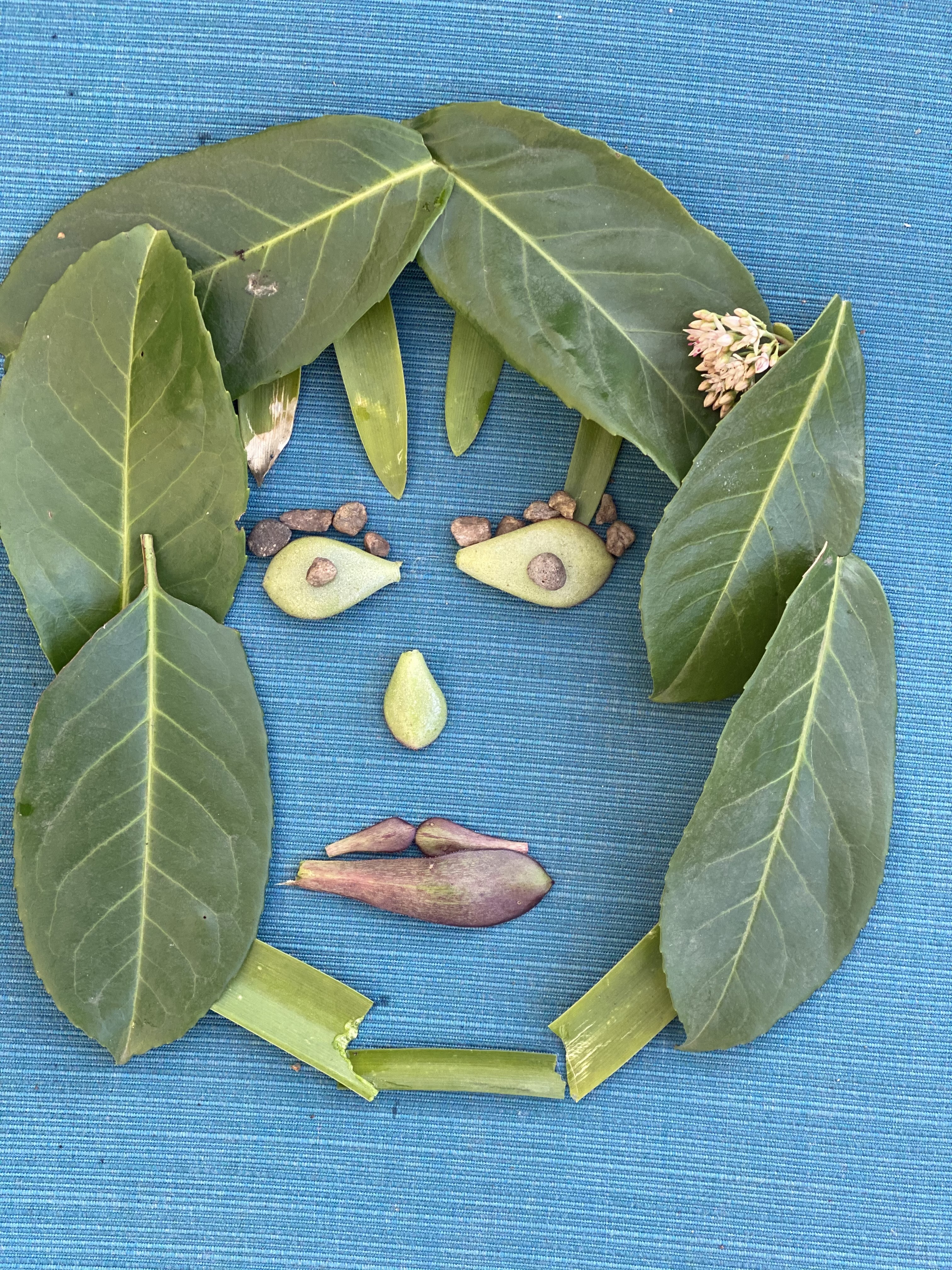 work by laura wanklin