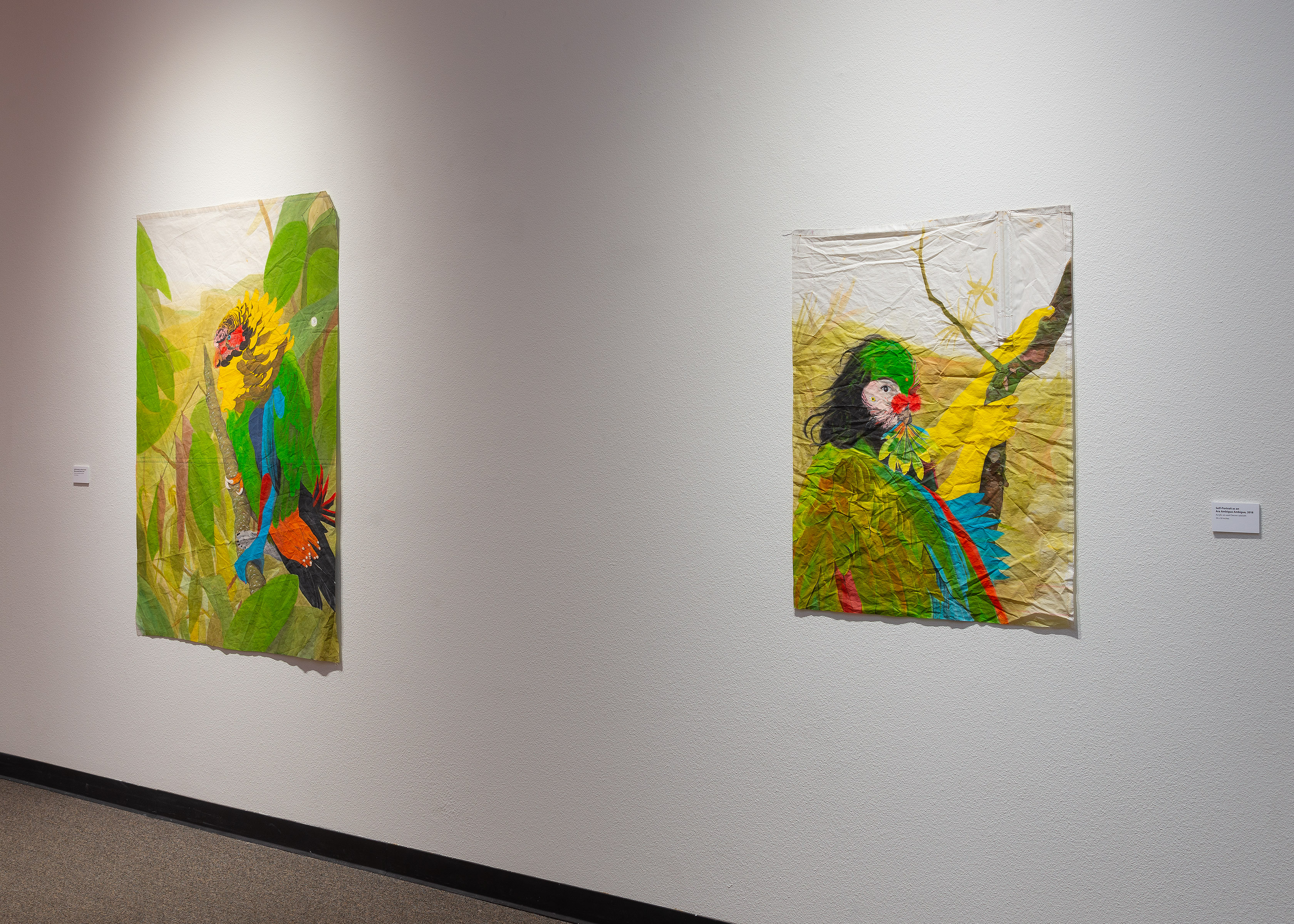Installation Image 12