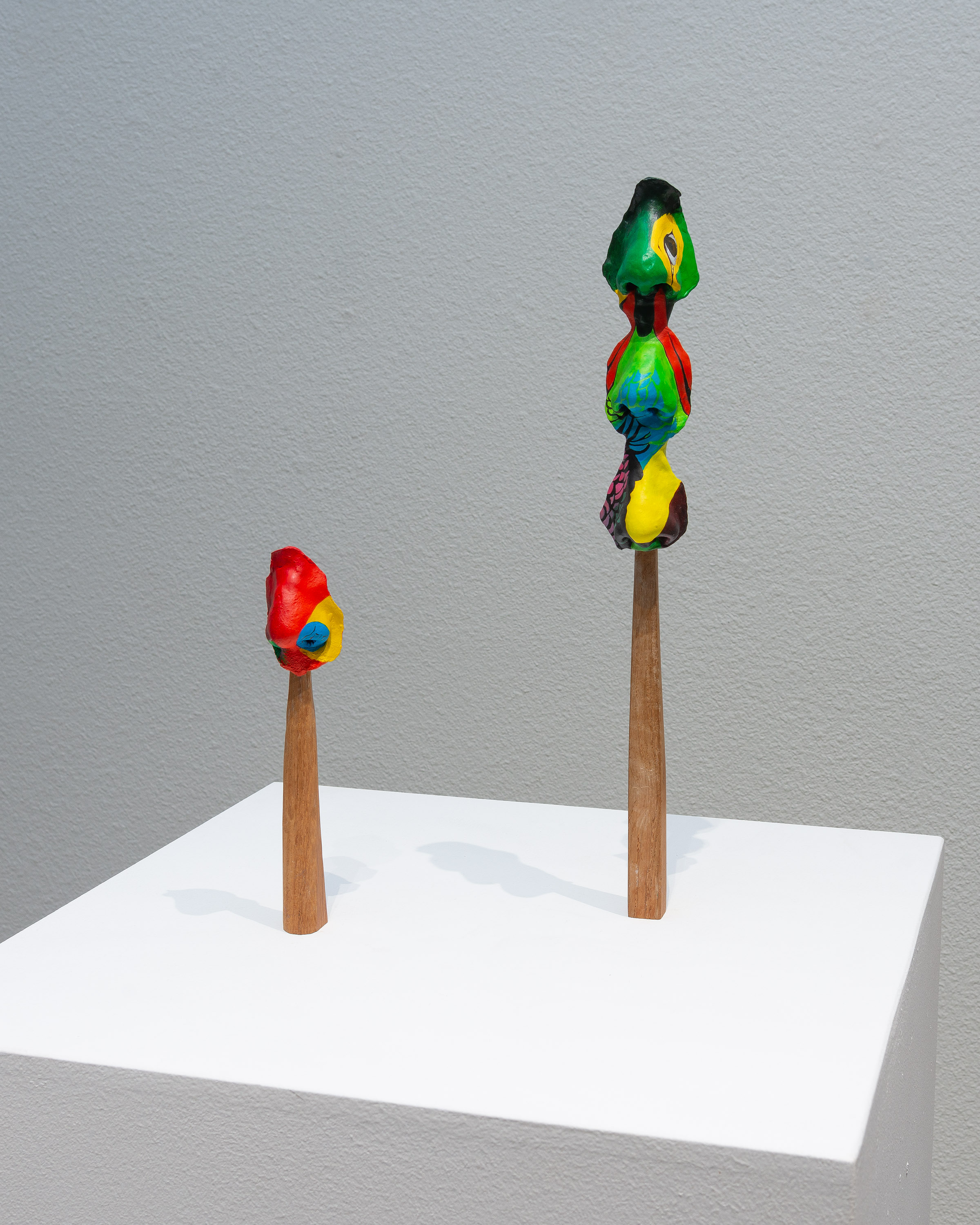 Installation Image 25